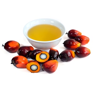 Palm fruit and oil