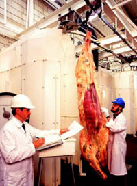 USDA microbiologist Gregory Siragusa obtains samples for microbial analysis from a washed carcass while food technologist James Dickson records information about the sample.