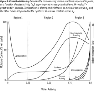 Figure 2. General relationship between the occurrence of various reactions important in foods, as a function of water activity (aW), superimposed on a sorption isotherm. M = mold; Y = yeast; and B = bacteria. The isotherm is plotted on the left axis as moisture content vs aW, and the other curves are plotted on the right axis as relative reaction rate vs aW.