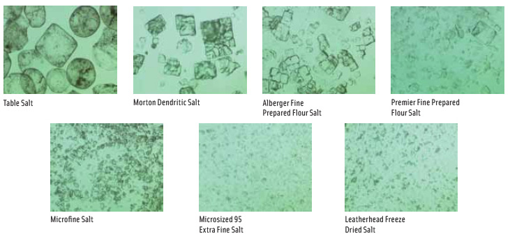 Figure 3. Examples of salt crystals of varying dimensions. (Image width approximately 1,000 μm.)