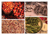 Palmnuts, yams, okra, and cowpeas (clockwise from top right) are some of Africa’s indigenous ingredients providing the multilayered tastes & textures of African cuisines.