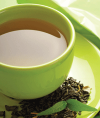 Green tea contains the polyphenol epigallocatechin gallate