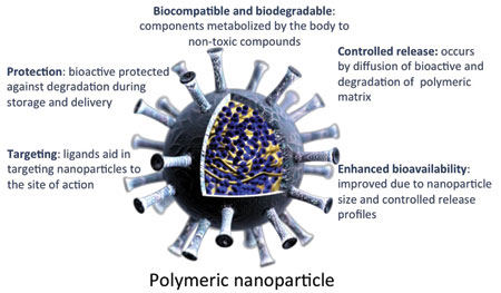 Advantages provided by polymeric nanoparticles include controlled release, targeting, and improved stability and bioavailability of the entrapped bioactive.