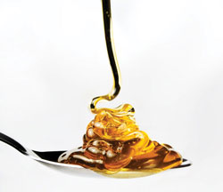As an all-natural sweetener, honey is suitable for a variety of beverage formulations, including juices, teas, sodas, alcoholic drinks, and dairy-based products. A new website promotes honey’s usage and benefits in these beverages.