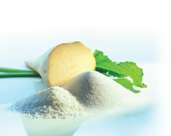 Derived from sugar beets, isomaltulose is a low-glycemic, fully digestible carbohydrate that provides a prolonged energy supply in the form of glucose.
