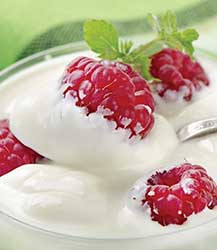 A yogurt product’s texture is an important attribute.