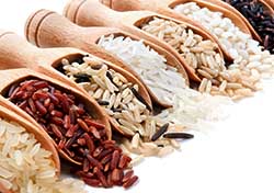 A sampling of some types of rice.