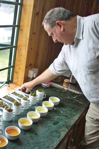 An expert tea tester in cupping session.