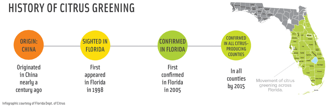 History of Citrus Greening. Infographic courtesy of Florida Dept. of Citrus
