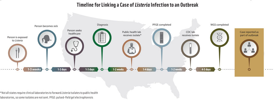 After a person eats food contaminated with Listeria, symptoms usually begin within a few weeks to one month (two months for pregnant women). After a person seeks medical care, a healthcare provider sends a specimen of blood or spinal fluid to a clinical lab. If the lab detects Listeria, it sends an isolate to the state public health lab, which conducts pulsed-field gel electrophoresis (PFGE) on the isolate and uploads the PFGE pattern to the PulseNet national database. Some state labs also perform whole genome sequencing (WGS), and some labs ship the Listeria isolate to the CDC for WGS. If a person’s Listeria infection is linked to an outbreak, the case is reported as part of the outbreak. Illustration courtesy of the CDC.