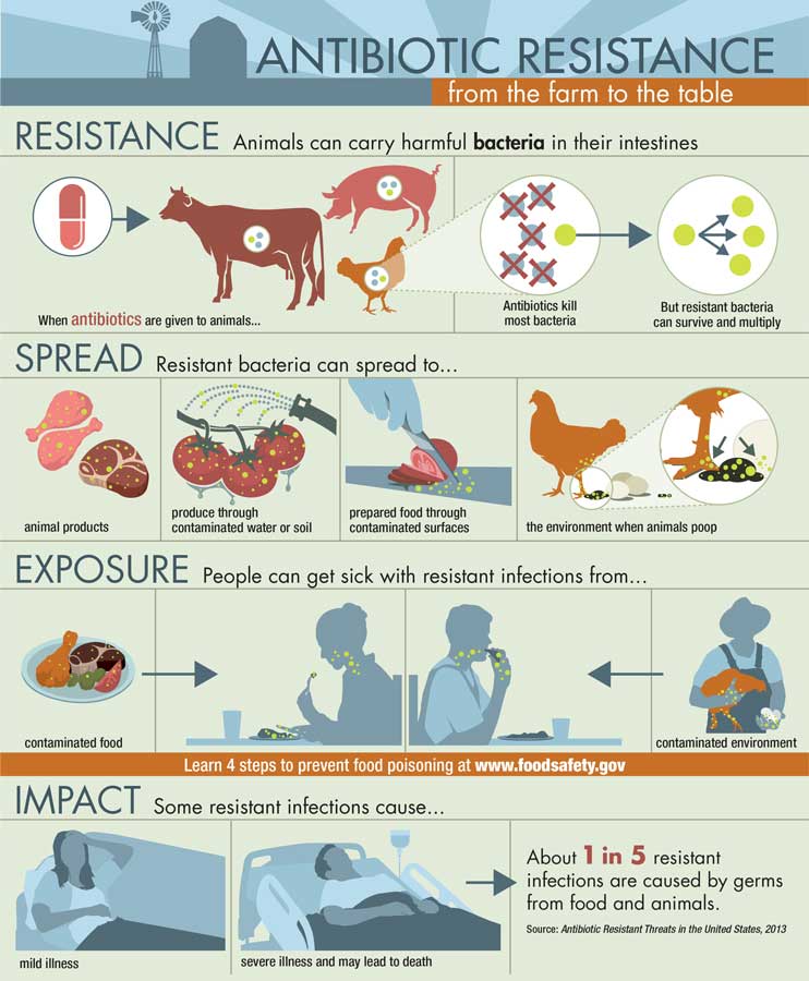 How antibiotic resistance occurs and spreads.