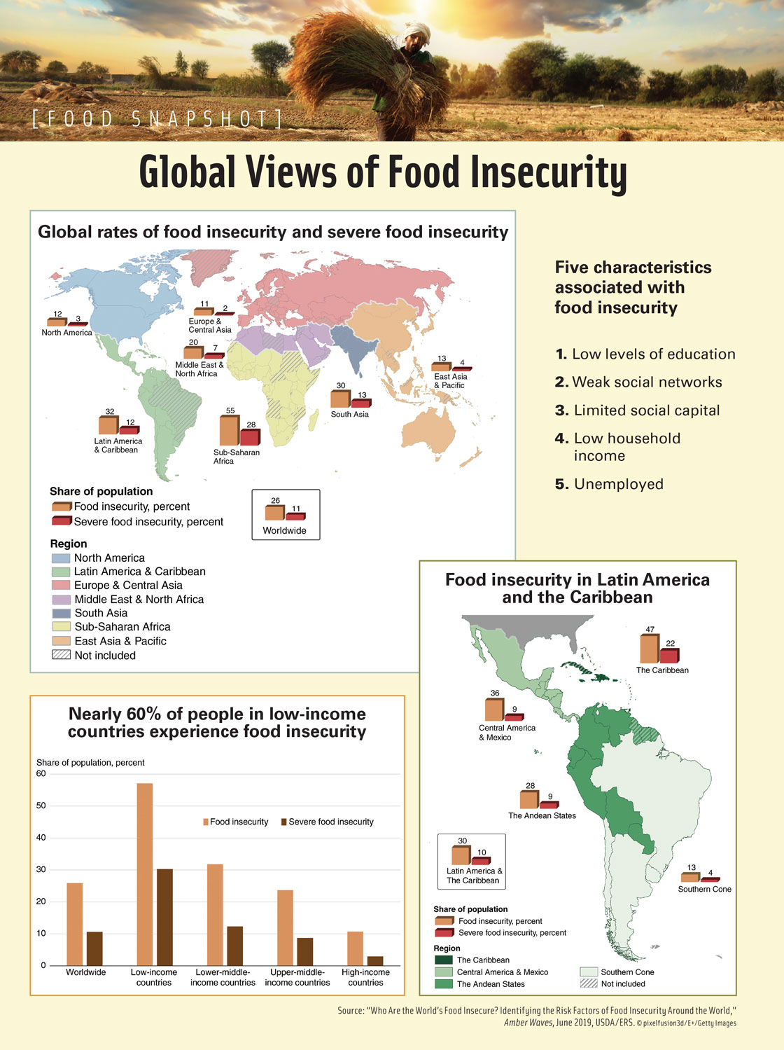 Global Views of Food Insecurity