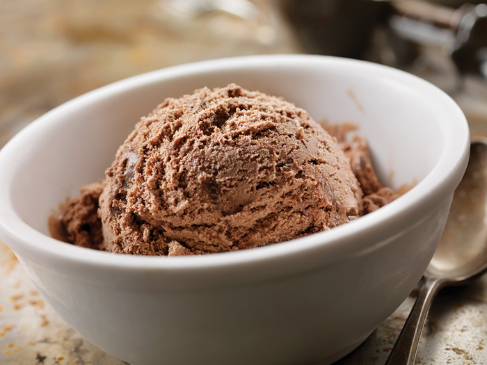 Chocolate Ice Cream in bowl