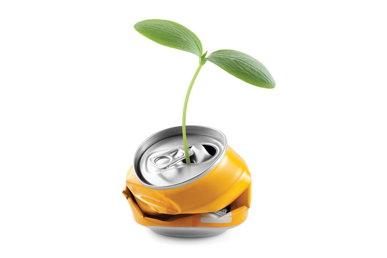 Plant Growing in a can.