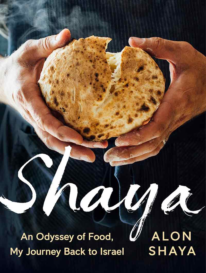 Alon Shaya's cookbook