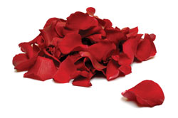 Rose petals contain compounds that may have antimutagenic properties.