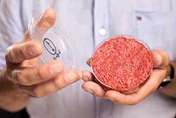 lab-grown hamburger