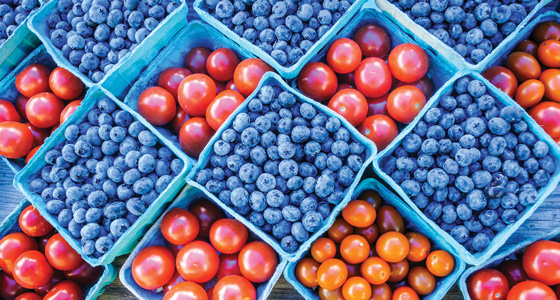 Blueberries and tomatoes.