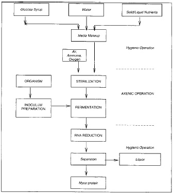 Fig.1—Flowchart for production of mycoprotein