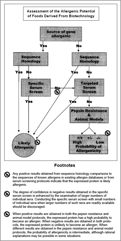 Fig. 3—Decision-tree for assessment of allergenic potential of foods derived from biotechnology (FAO/WHO, 2001).
