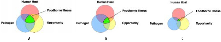 Fig. 1—Effect of reducing the factors that influence the likelihood that foodborne illness will occur