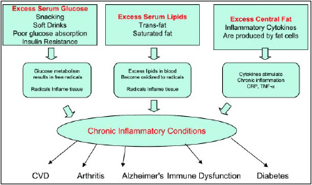 Fig.1—Factors leading to chronic inflammation.