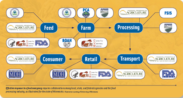 Effective response to a food emergency requires collaboration among local, state, and federal agencies and the food processing industry, as illustrated for the state of Minnesota.