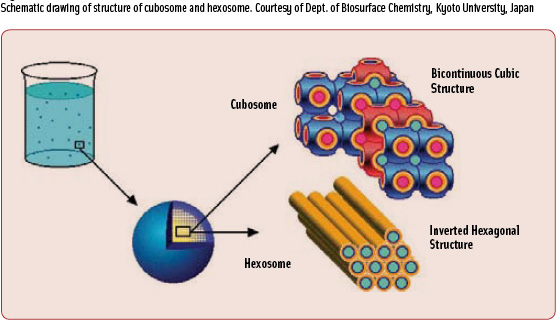Figure 2 Schematic drawing of structure of cubosome and hexosome. Courtesy of Dept. of Biosurface Chemistry, Kyoto University, Japan