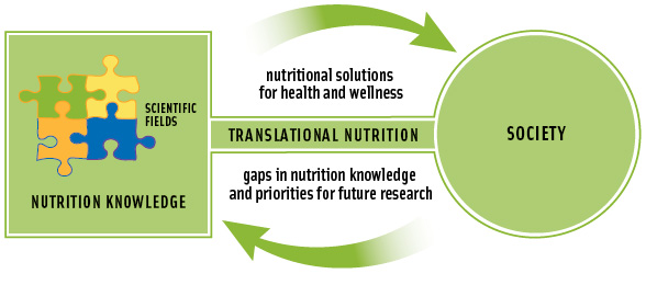 Figure 1. Nutrition knowledge comes from a variety of scientific disciplines. The art of good translation in integrating this knowledge, making it accessible to society, and identifying future research that will benefit society.
