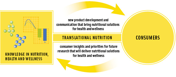 Figure 4. Translational nutrition for the food industry bridges the gap between nutrition research and business.It fast-tracks the transfer of innovation to consumers and drives forward a strategy for consumer-relevant research.