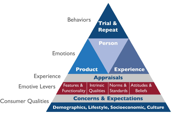 Figure 1Consumer behavior ladder links concerns, expectations, emotive levers, and appraisals to emotions and subsequent consumer behavior.