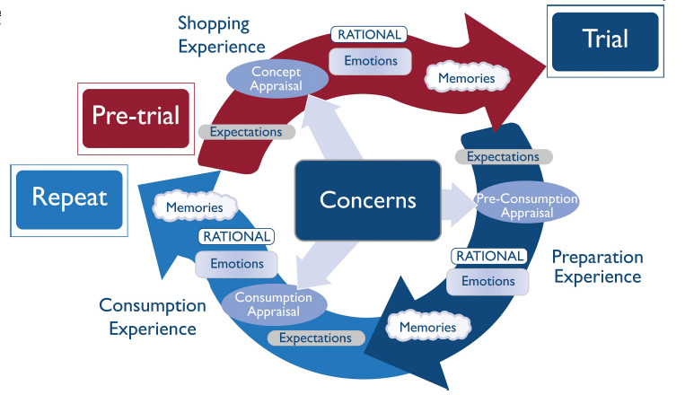 Figure 2.Holistic research framework relates consumer experiences to trial and repeat behavior.