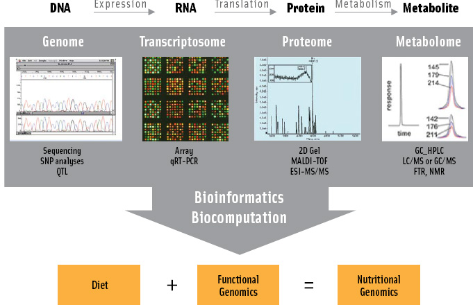 The “omics technologies” include high-throughput analyses of DNA (genomics), RNA (transcriptomics), protein (proteomics), or metabolites (metabolomics) using existing technologies.