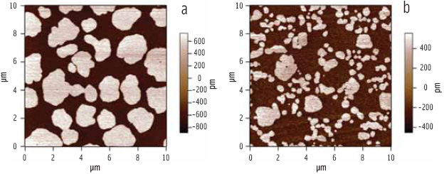 Figure 5. AFM topography image of mixed phospholipid (DPPC)-bile salt films. (a) The bright domains are caused by close packing of the aliphatic tails of DPPC into a close-packed ‘solid phase’ which stands taller than the surrounding background loosely-packed ‘liquid phase’. As more bile salt is added (b) the size of the solid-phase domains decreases.