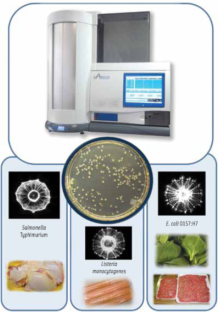 Figure 1. Light scattering-based, high-throughput screening of Petri dish for bacterial pathogens in food.
