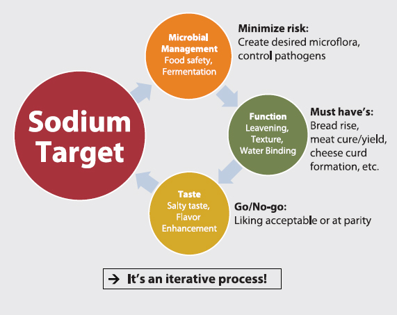 Figure 2. Juggling the challenges of sodium targets for new or existing food products; an iterative process.
