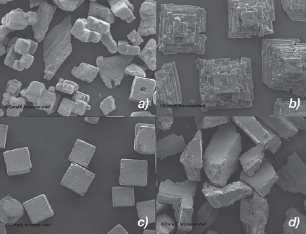 Figure 3. Various salt crystal types: (a) Alberger® cube agglomerates; (b) Alberger® hoppers, pyramid shape; (c) granulated, cubic shape; and (d) milled salt.