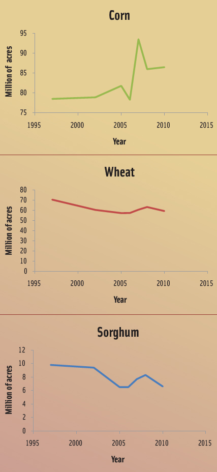 These graphs depict the rise and decline in U.S. acreage allocated for corn, wheat, and sorghum.