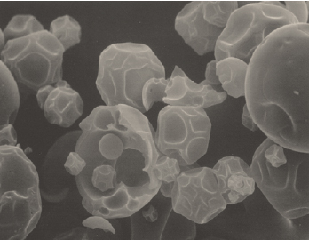 SEM photograph of spray dried starch particle.