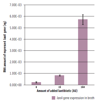 Real time PCR demonstration of switching on expression of the lantibiotic gene cluster in broth cultures of B. longum DJO10A by adding the crude lantibiotic preparation in a dose-dependent fashion.