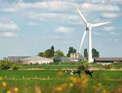 The Dutch dairy cooperative FrieslandCampina has set sustainability standards for dairy. 