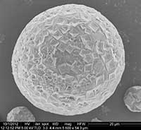 SODA-LO salt microspheres