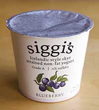 Icelandic style skyr yogurt
