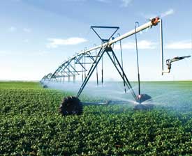 Recycled water can be used to irrigate crops.