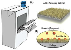 Figure 1. Active packaging can support removal of synthetic additives while retaining product quality and safety. (A) Functional ligands (e.g., antimicrobial, metal chelating) can be immobilized onto common materials to produce active packaging materials. (B) Active package scavenges unwanted compounds from foods, preventing them from promoting spoilage. Figure courtesy of Zhuangsheng Lin