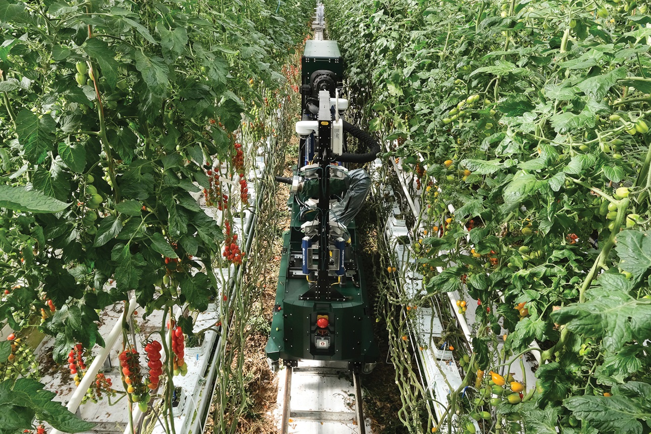 Harvesting robotics from Four Growers
