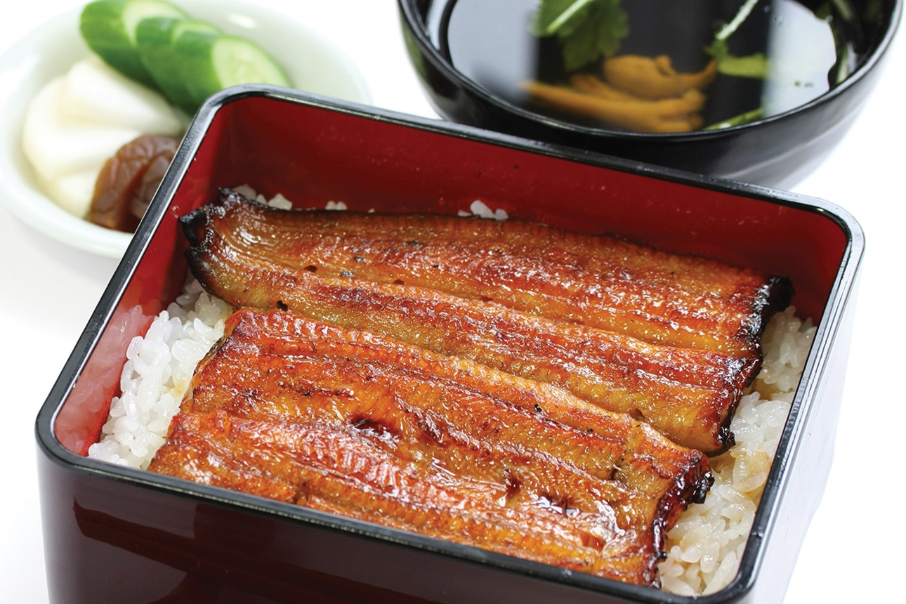 Eel and Rice