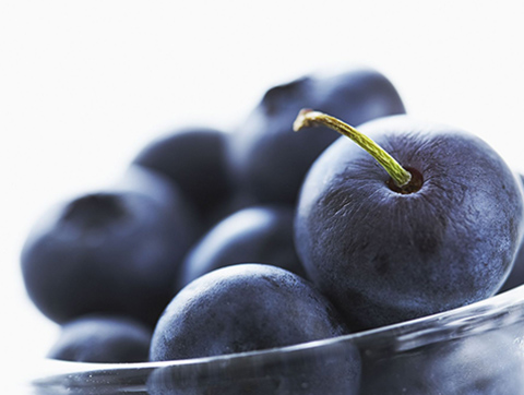What are Antioxidants?
