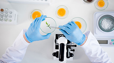 Career in Food Scicence