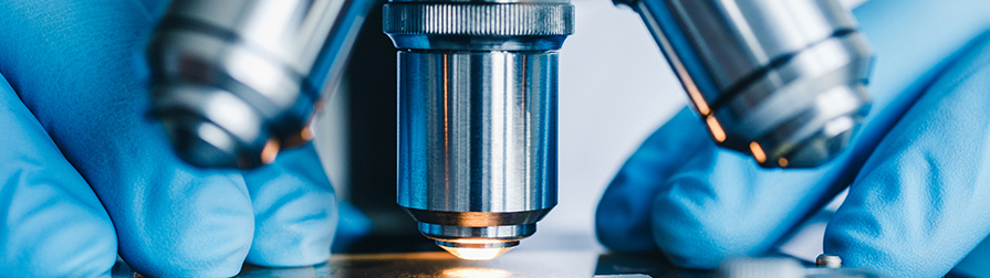 Food Chemistry Division closeup of microscope